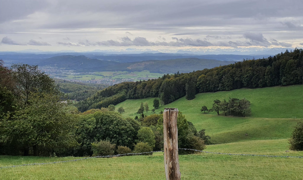 Allerheiligenberg - Alpenpanorama